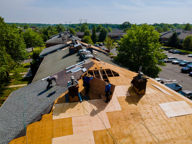 Best Residential Roofing Contractor  in Almont, MI
