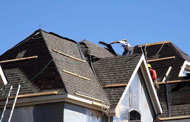 Best Roof Inspection Near Me  in Almont, MI