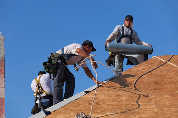 Best Affordable Roofing Company  in Almont, MI