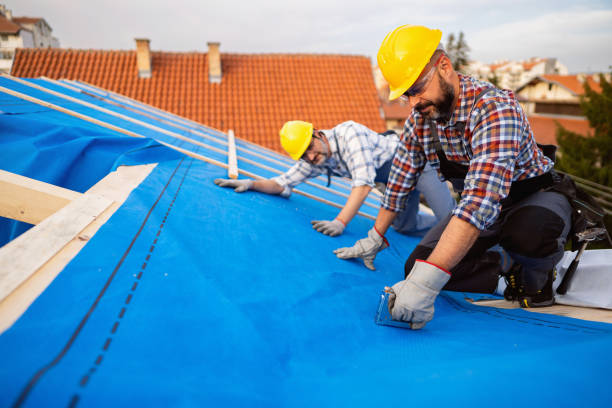 Best Roof Replacement Cost  in Almont, MI