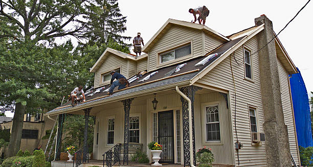 Best Metal Roofing Contractor  in Almont, MI