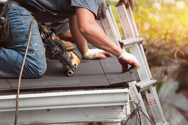 Best Roof Waterproofing Services  in Almont, MI