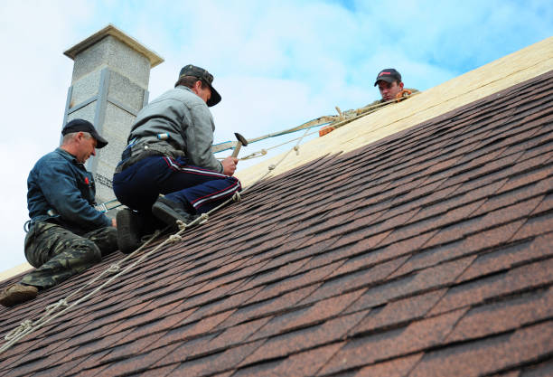 Best Roof Restoration Services  in Almont, MI