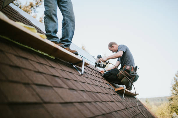 Best Gutter Installation and Roofing  in Almont, MI