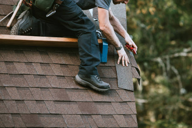 Roof Gutter Cleaning in Almont, MI